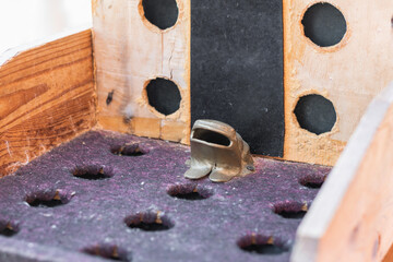 close-up view of the game called frog, showing the holes through which the hoops must enter. © Mauricio Toro