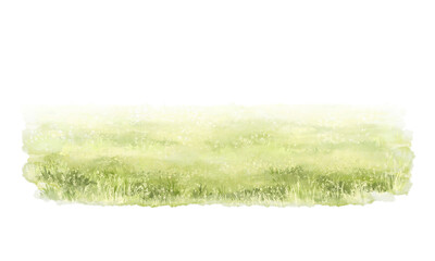 Green grass in lawn meadow isolated on white background. Watercolor hand painted illustration - obrazy, fototapety, plakaty