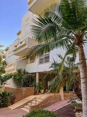 Fototapeta na wymiar View of beautiful house with palm trees