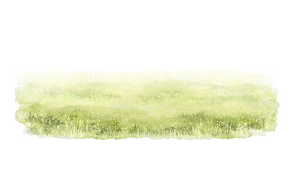 Green grass in lawn meadow isolated on white background. Watercolor hand painted illustration