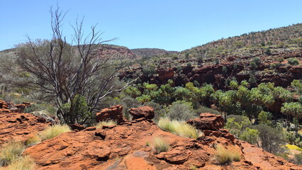 Absolute outback of the Northern Territory, Australia