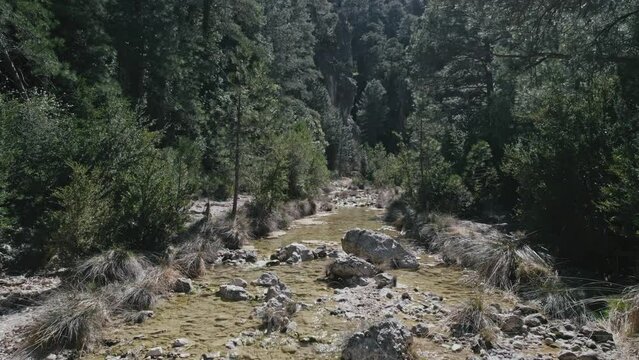 Aerial view of water stream in a forest, Parrizal de Beceite, Rio, Spain.