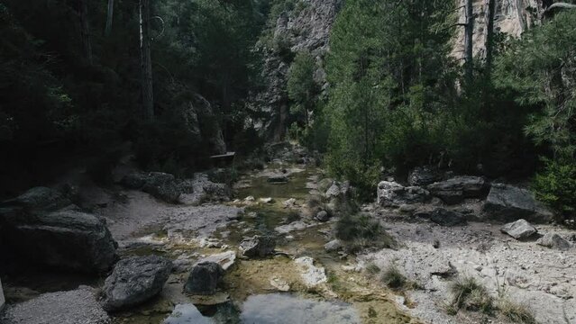 Aerial view of water stream in a forest, Parrizal de Beceite, Rio, Spain.