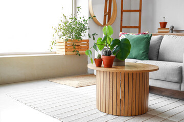 Coffee table with houseplants in interior of living room