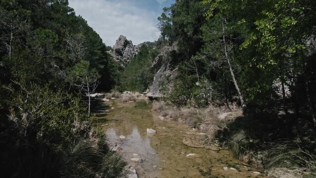Aerial view of water stream in a forest, Parrizal de Beceite, Rio, Spain.
