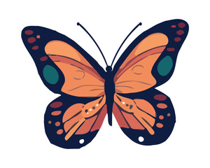 Butterfly in bright orange, flying beauty