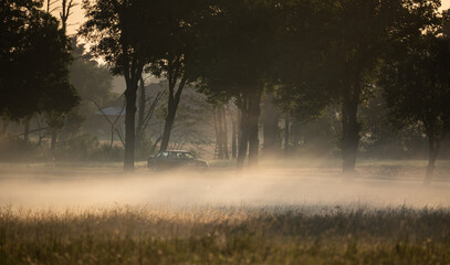 Fog over the meadow. Summer morning, picturesque rural landscape.