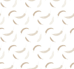 Obraz premium Beautiful Feather pattern seamless design background 