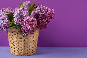Fototapeta na wymiar Wicker basket with blooming lilac branches on color background