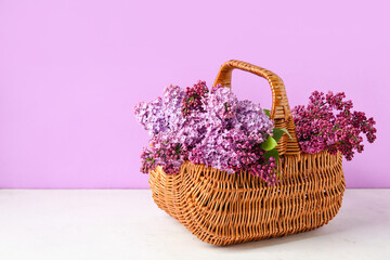 Fototapeta na wymiar Basket with beautiful lilac flowers on light table against color background