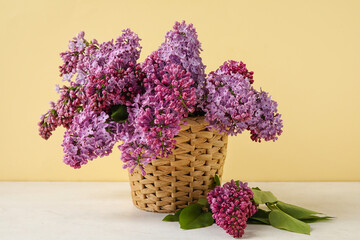 Basket with blooming lilac branches on light table against color background