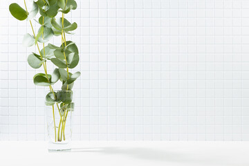 Modern white kitchen interior - tiny ceramic tiles on wall, summer bouquet of green eucalyptus twigs in sunlight, shadow, copy space. Background for presentation cosmetic products, spa, design.
