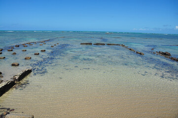 mar tropical de Macei&oacute; estado de Alagoas Brasil 