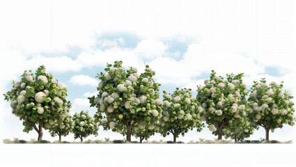 Obraz premium 3D rendering of apple trees on transparent background, for illustration, digital composition, and architecture visualization generative ai