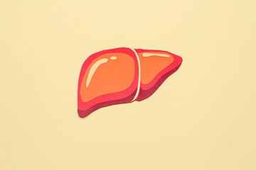 Red paper liver on orange background
