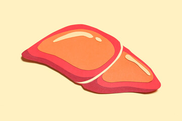 Red paper liver on orange background