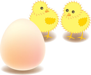 vector illustration for two chicks are curious of the big egg which is in front of them