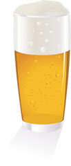Cold Beer Glass Vector Illustration