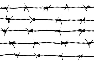 barbed wire. barbed wire fence - obrazy, fototapety, plakaty