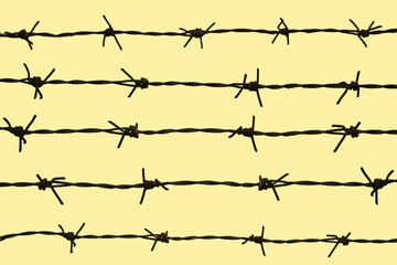 barbed wire. barbed wire fence