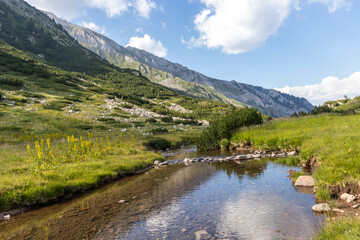 Naklejka na ściany i meble Landscape near Banderitsa River at Pirin Mountain, Bulgaria