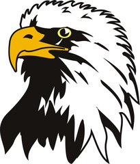 illustration of vector eagle head for tattoo