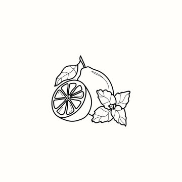 recommend clip art: Line art lemon and mint illustration