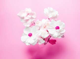 Fototapeta na wymiar Beautiful white flowers bloom vibrantly against a soft pink background, creating a captivating contrast. Generative Ai, Ai.