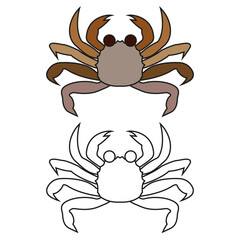 Children's coloring book cartoon sea crab of the crustacean family on a white background.