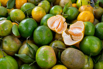 Tangerina, tamb&eacute;m conhecida como laranja-mimosa, mexerica, mandarina, fuxiqueira, ponc&atilde; (ou ponkan), manjerica, laranja-cravo, mimosa ou bergamota.