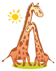 Two funny giraffes and sun isolated on a white background.