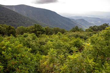 mountain landscape with trees and clouds