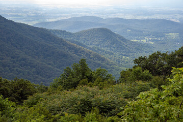 view from the top of mountain