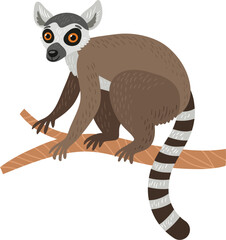 Lemur on a white background. vector character - 607533336