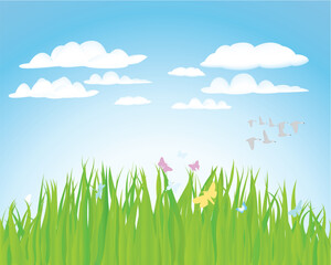 Obraz premium Vector illustration grass background for design usage