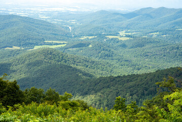 mountain landscape in summer