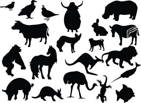 Animals black silhouettes vector illustration
