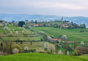 Beautiful countryside around Hrinova city with green fields, blooming cherry trees and white church on the top of th hill. Amazing spring landscape of Podpolanie region, Slovakia.  © Ivan