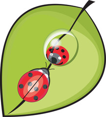 Obraz premium illustration, clip-art, color, art, cartoon, leaf, insect, ladybird, drop, reflex