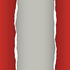 Torn paper background