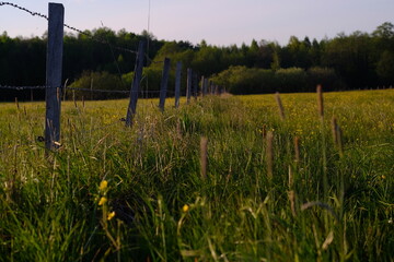 Fototapeta premium fence in the field
