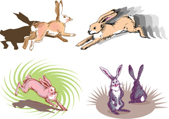 illustration, vector for a running rabbit