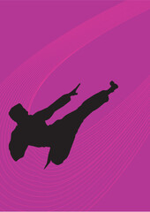 illustration, vector for a sport game background, karate
