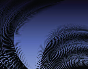 Abstract editable vector illustration of feathers or fronds