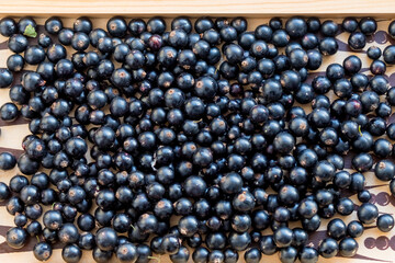 Berries of black currant in the top view. Background with red currants. Organic berries. View directly from the top. healthy natural food.Farming concept, harvesting