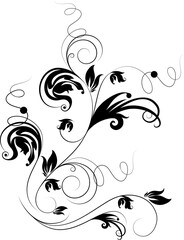 Floral illustration. Can be used for design.