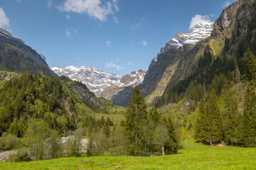 Fototapeta na wymiar Sommer in den Alpen mit Wiesen, Wasserfällen und Gletschern