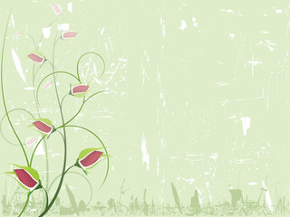 Floral background.  More backgrounds in my portfolio.