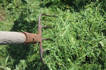 Pitchfork with wooden handle and rusted metal fork in grass clippings in the midday sun.