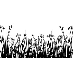 Grass silhouettes ornate on the white background